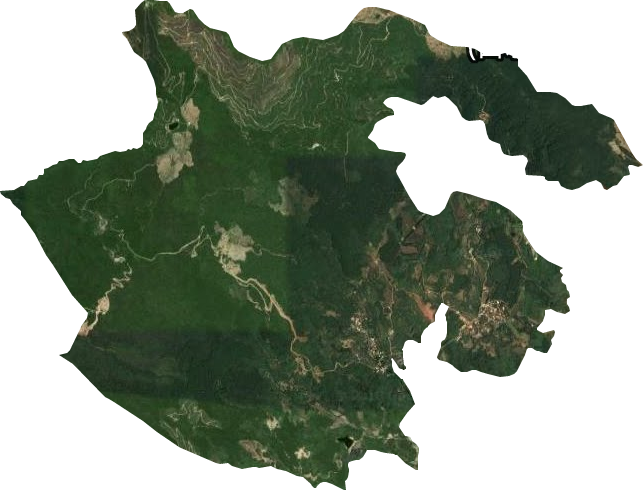 玳瑁山茶场卫星图