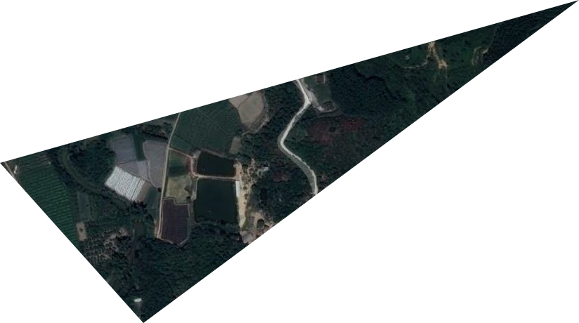 国营湖内林场卫星图