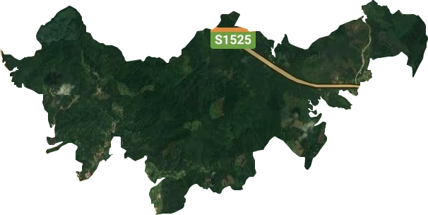 九龙岭林场卫星图