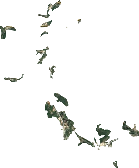 程溪农场卫星图