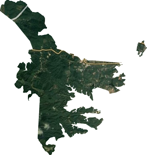 林下林场卫星图