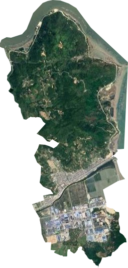 龙安开发区卫星图