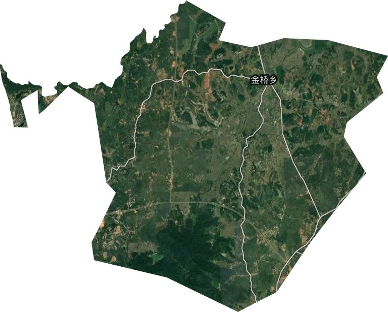 金桥乡卫星图