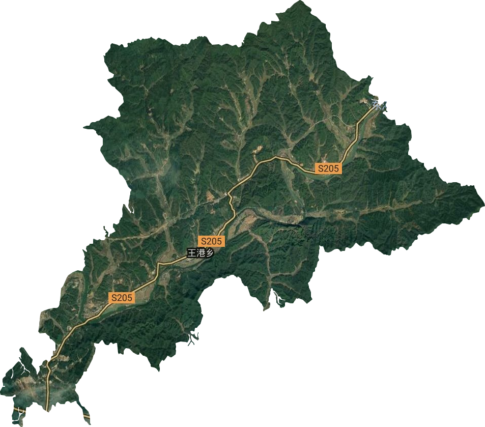 王港乡卫星图
