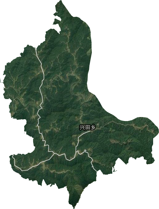 兴田乡卫星图