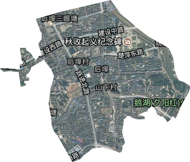 后埠街街道卫星图