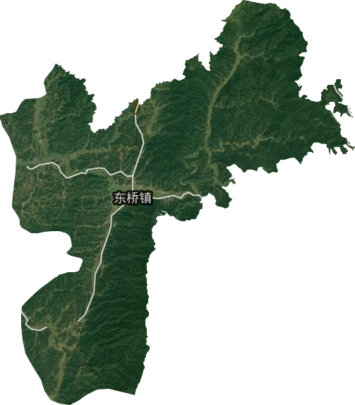 东桥镇卫星图