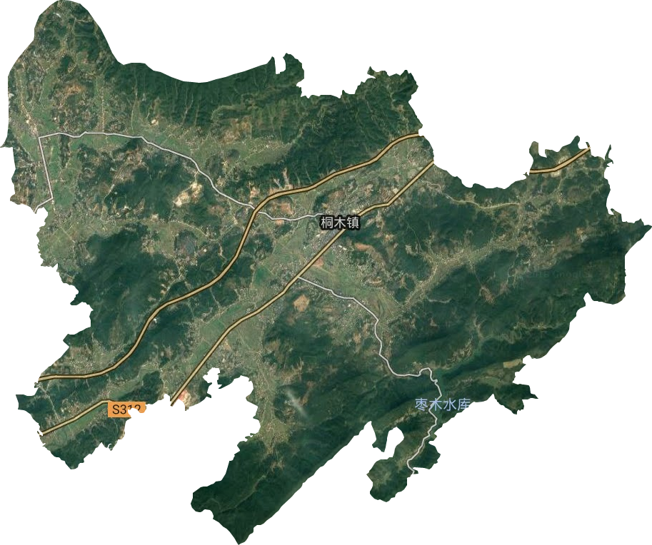 桐木镇卫星图
