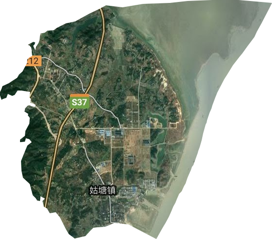 姑塘镇卫星图