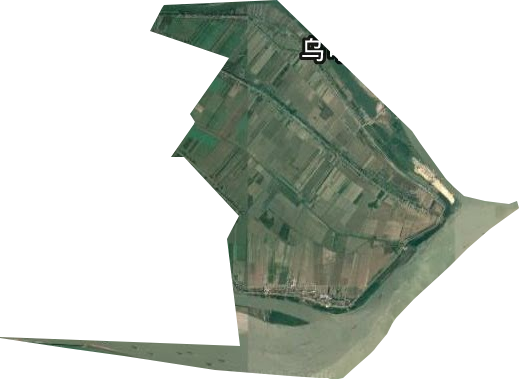新洲垦殖场卫星图