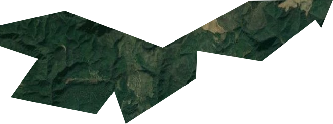 岷山林场卫星图