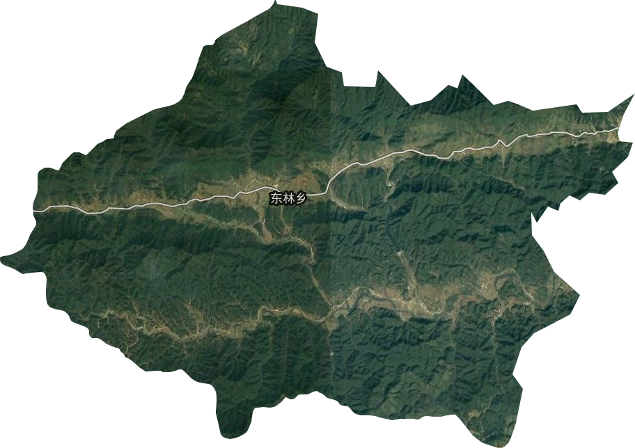 东林乡卫星图