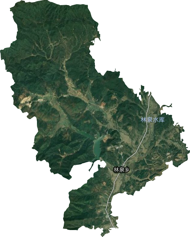 林泉乡卫星图