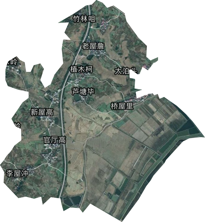 棉花原种场国营分场卫星图