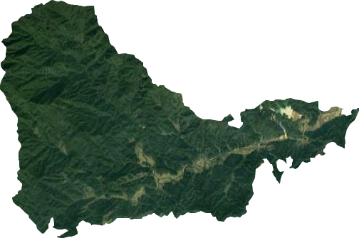 年珠林场卫星图