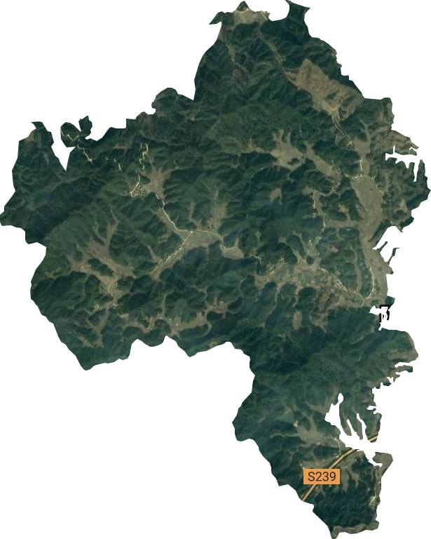 长埠林场卫星图