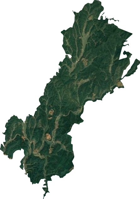 高公寨营林场卫星图