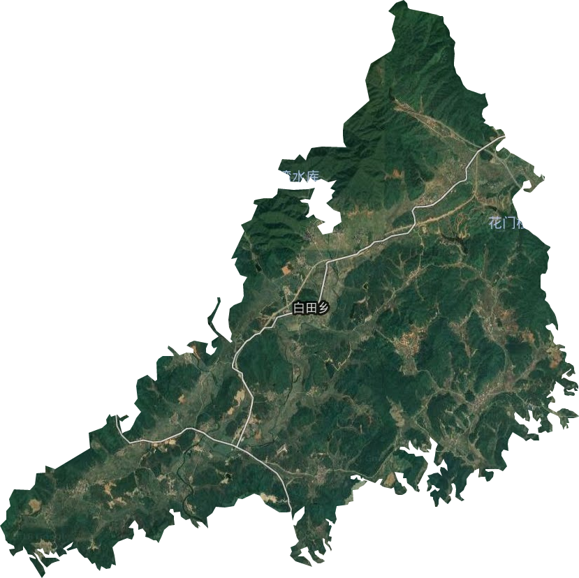 白田乡卫星图