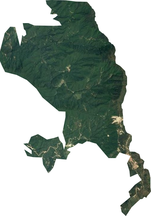 西窑林场卫星图