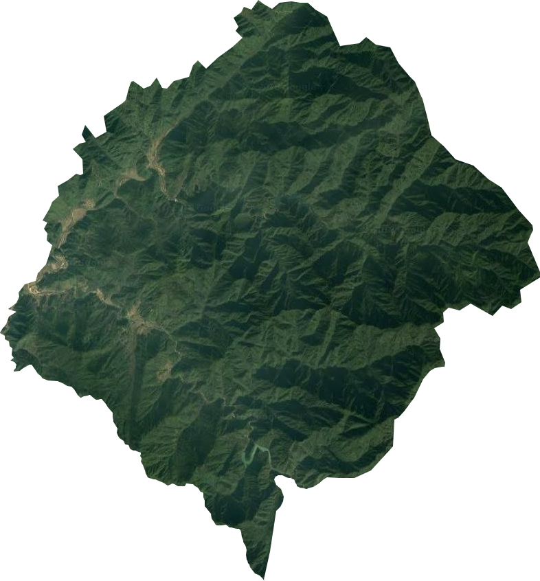 冷水林场卫星图