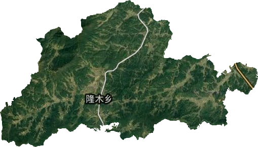 隆木乡卫星图