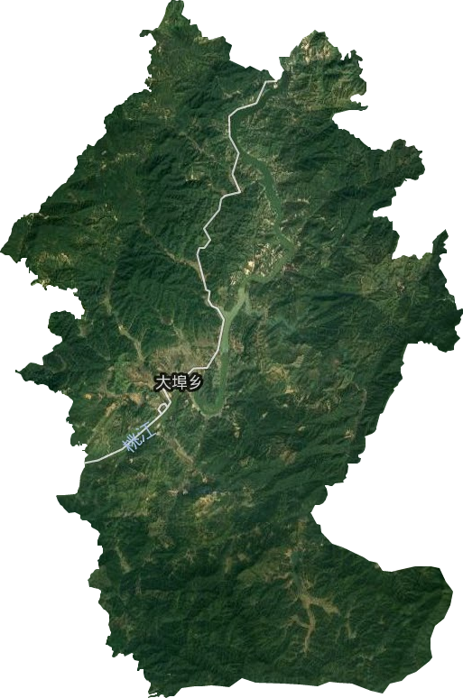 大埠乡卫星图