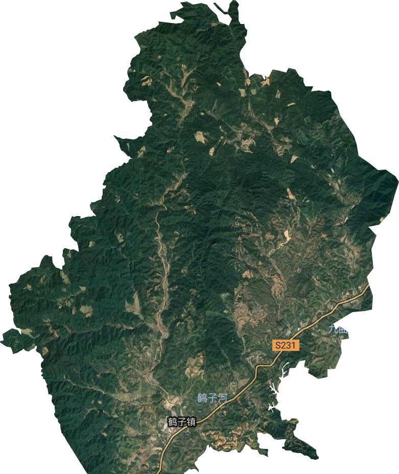 鹤子镇卫星图