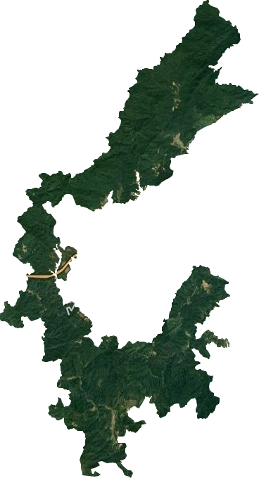 新龙乡卫星图