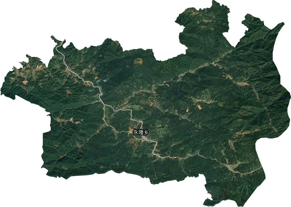 永隆乡卫星图