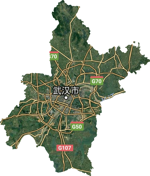武汉市卫星图