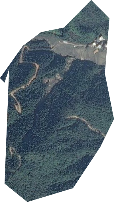 东固垦殖场卫星图
