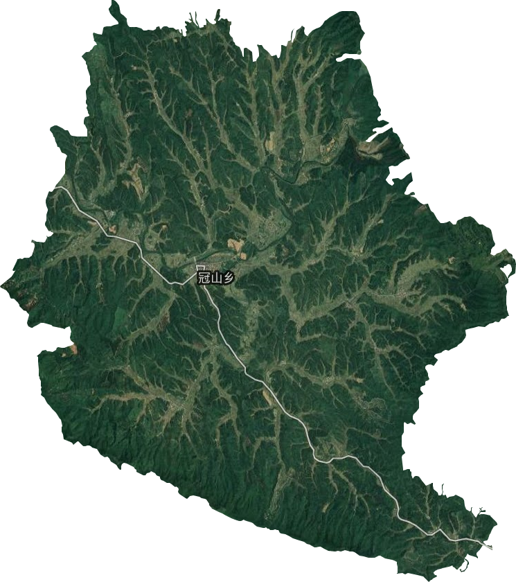 冠山乡卫星图