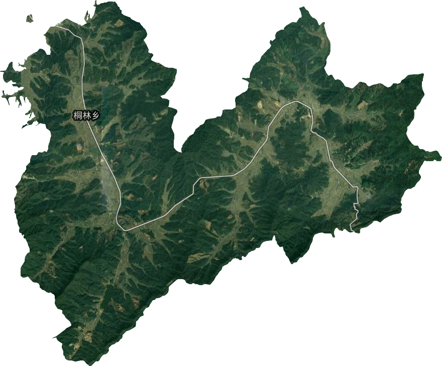 桐林乡卫星图