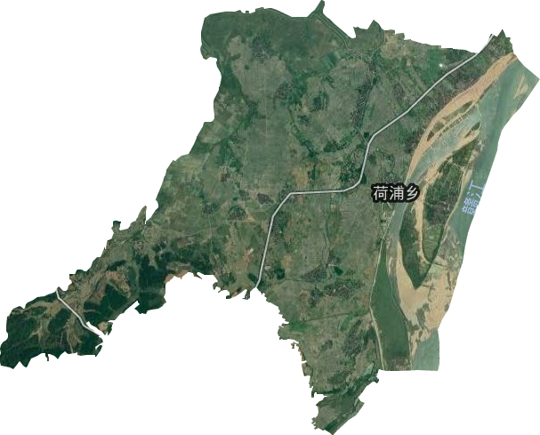 荷浦乡卫星图