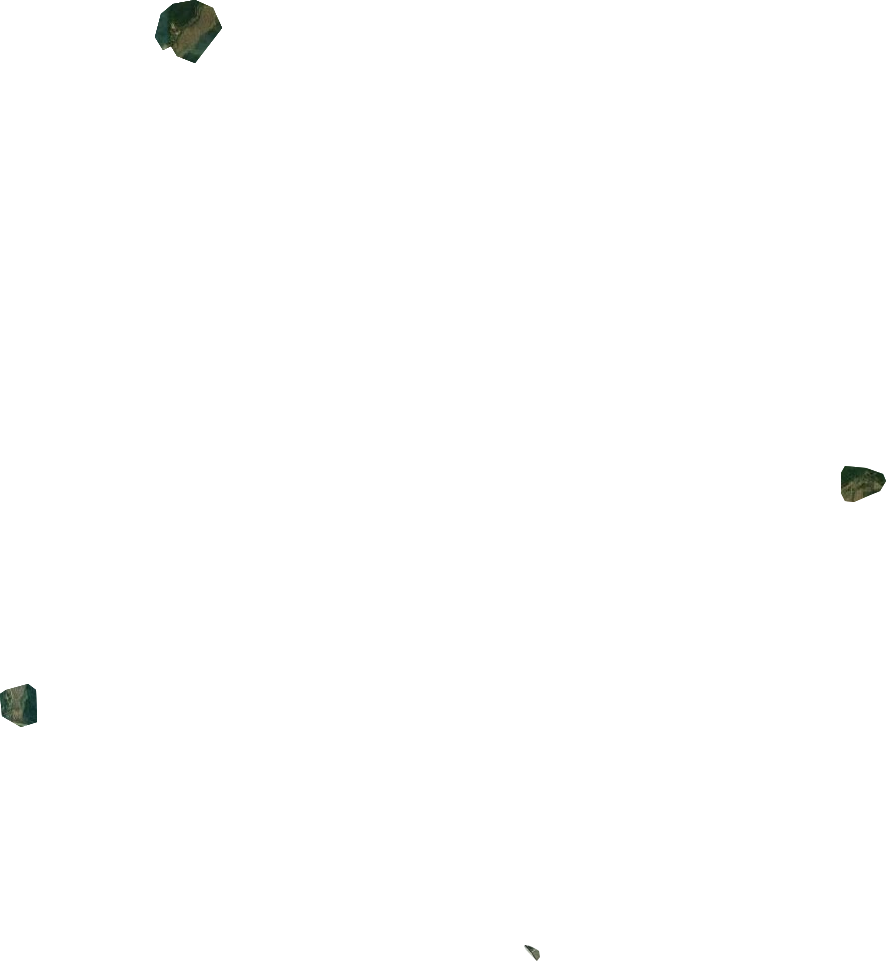 黎山林场卫星图