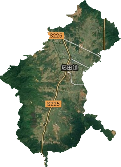 藤田镇卫星图
