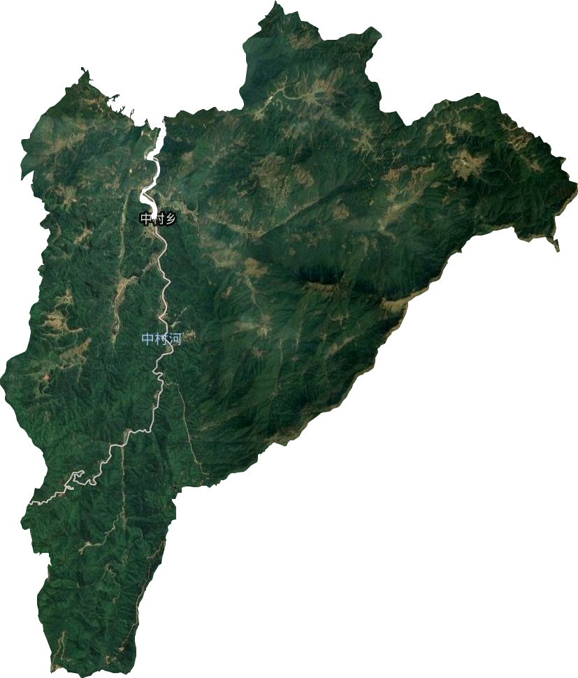 中村乡卫星图