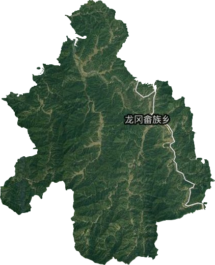 龙冈畲族乡卫星图