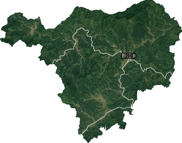 新江乡卫星图
