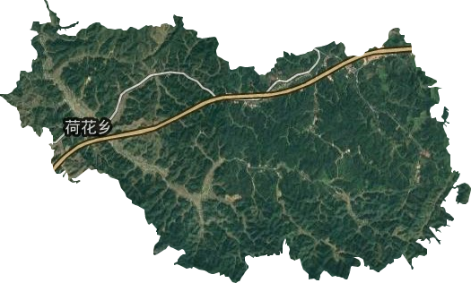 荷花乡卫星图