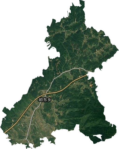 岭东乡卫星图