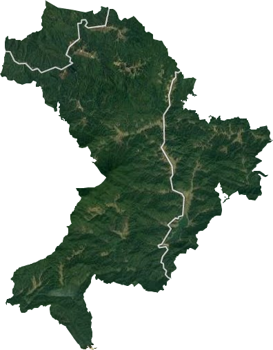 双峰林场卫星图