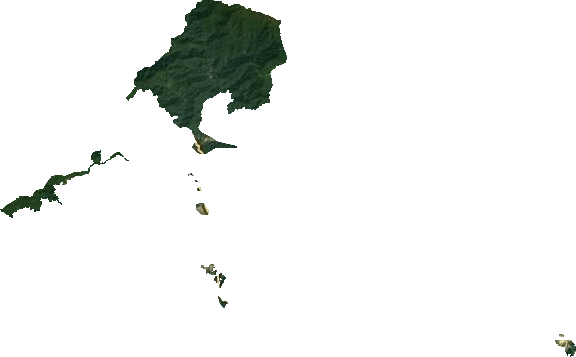 石花尖垦殖场卫星图