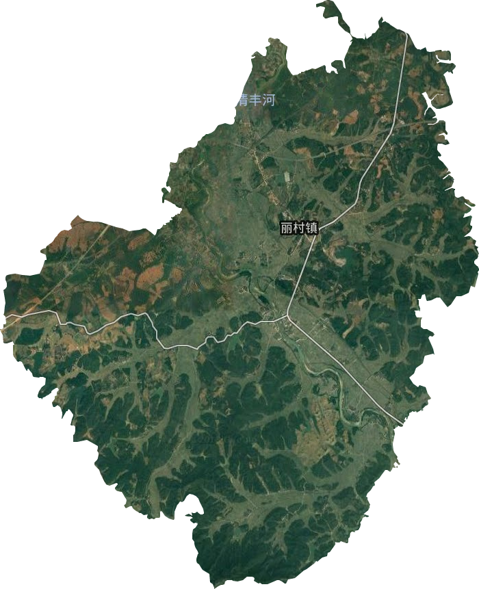 丽村镇卫星图