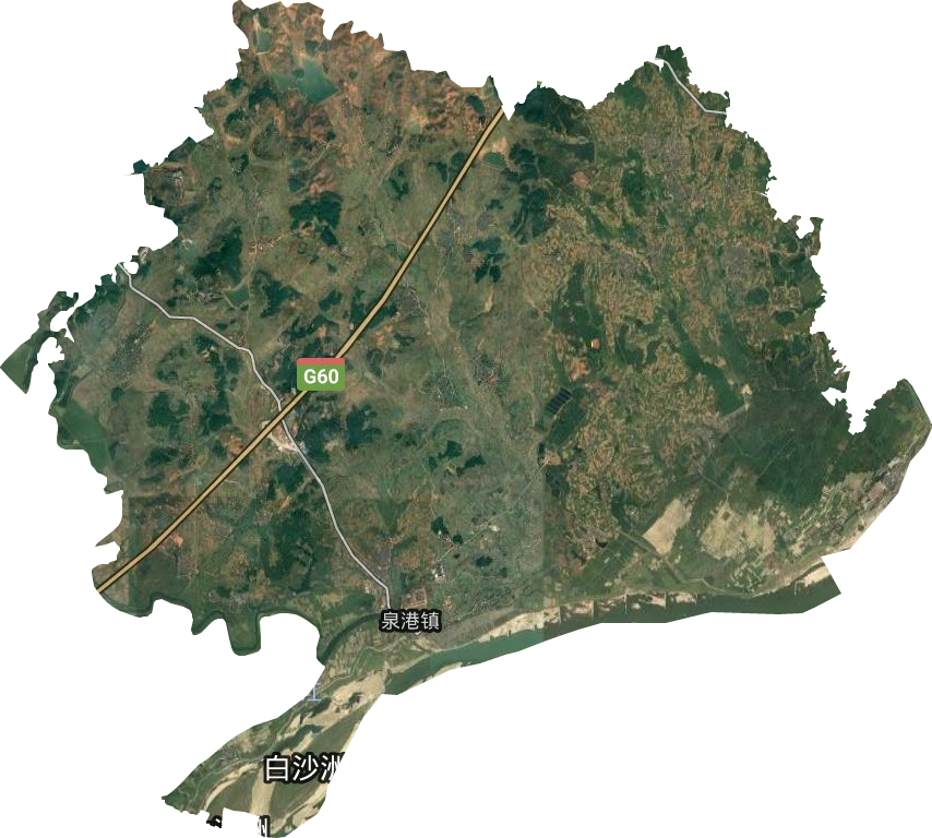 泉港镇卫星图