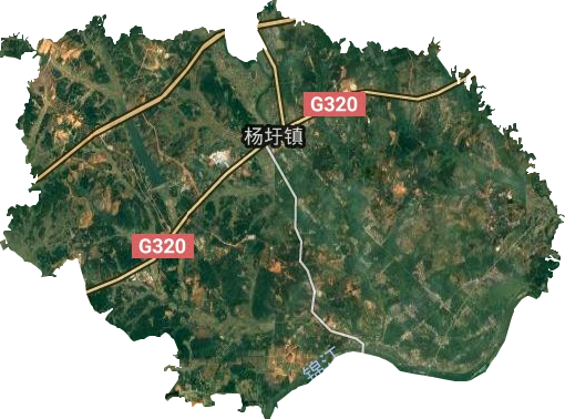 杨圩镇卫星图