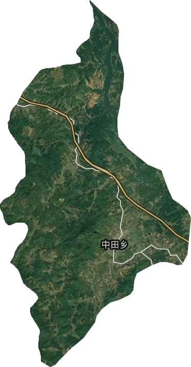 中田乡卫星图