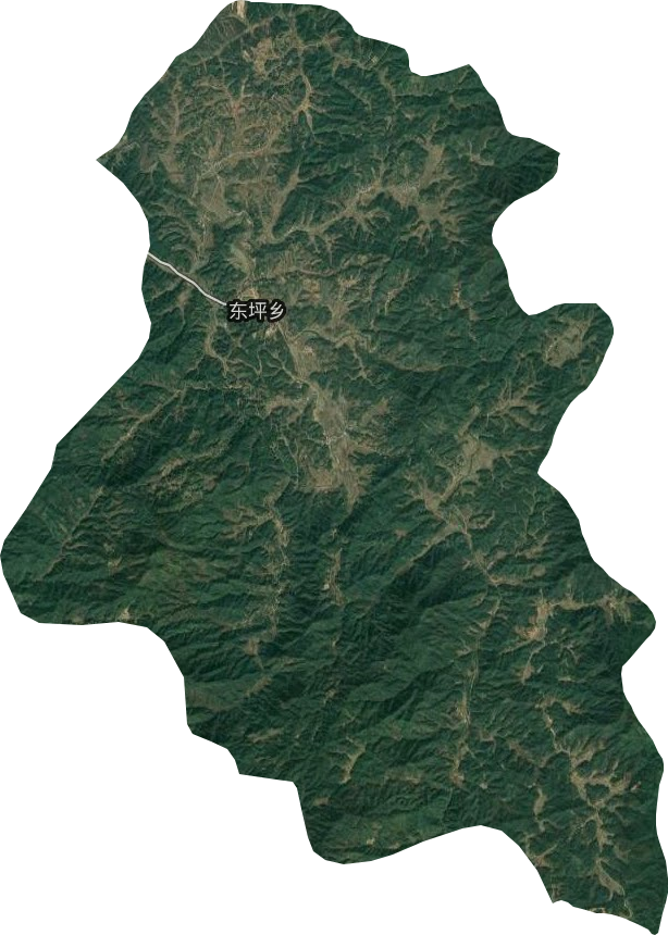 东坪乡卫星图