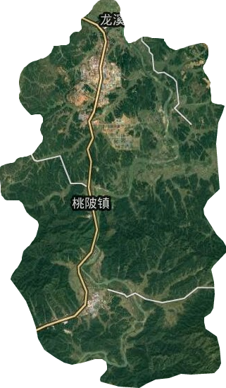 桃陂乡卫星图
