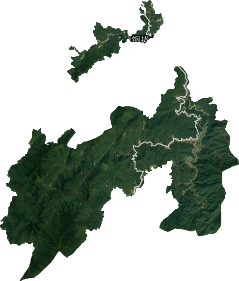 铜拔山垦殖场卫星图